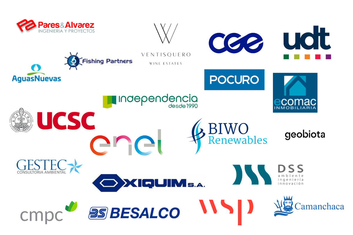 Clientes ArqueoSur 2025