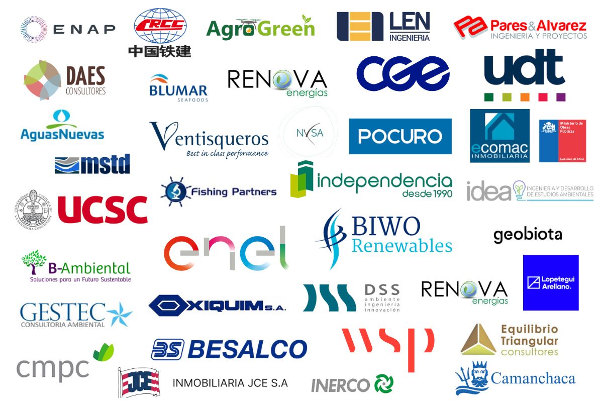 Clientes ArqueoSur 2025